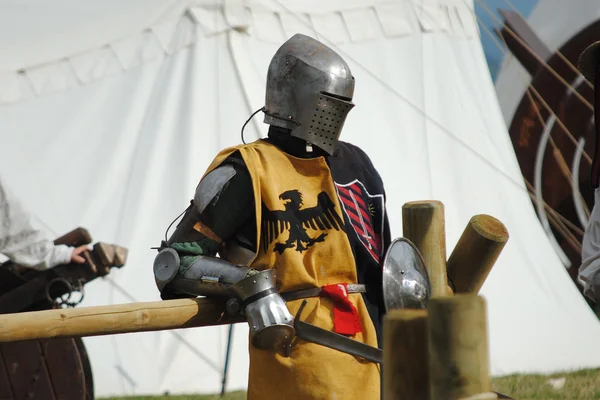 Ortaçağ Şövalyeleri mücadele — Stok fotoğraf