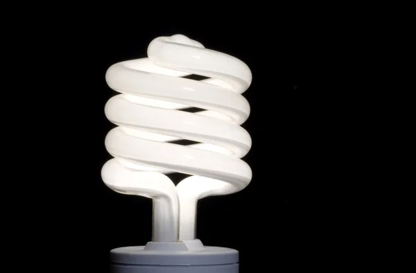 Conservation Light Bulb — Stock Photo, Image