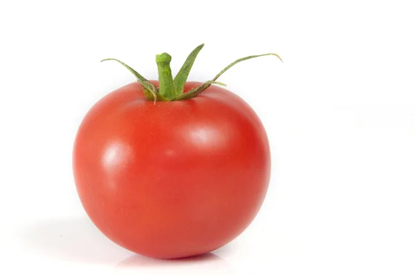 Einzelne Tomaten — Stockfoto