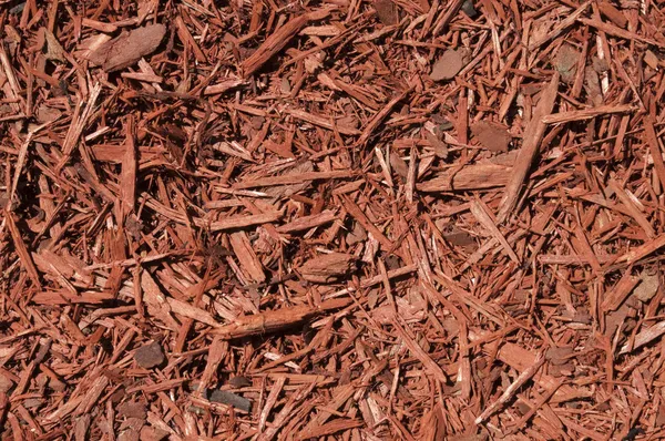 Red cedar mulch achtergrond — Stockfoto