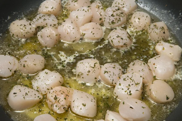 Sint-jakobsschelpen in boter koken — Stockfoto