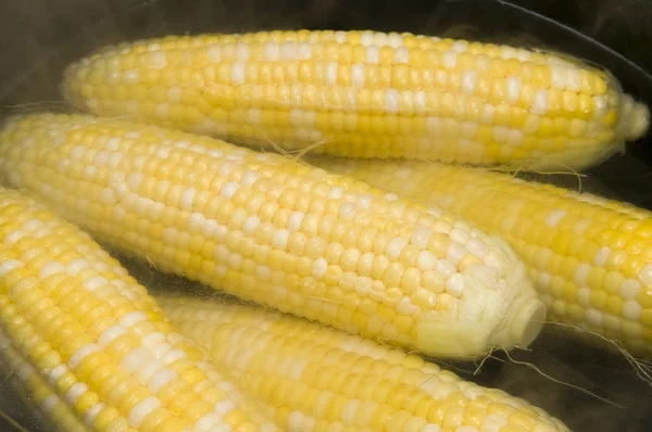 Matlagning corn — Stockfoto