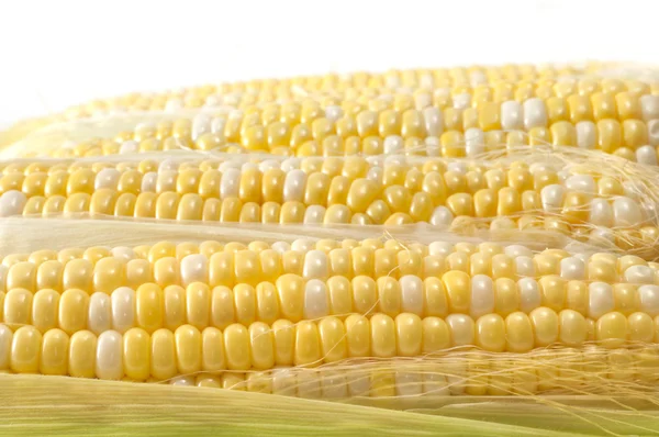 Szelektív kukorica a Cob — Stock Fotó