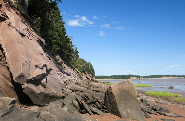 Beach Shoreline — Stock Photo, Image