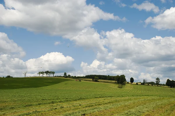 Farm Landscape — Stock Photo, Image