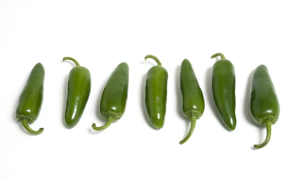 Row of Hot Japapeno Peppers — Stock Photo, Image