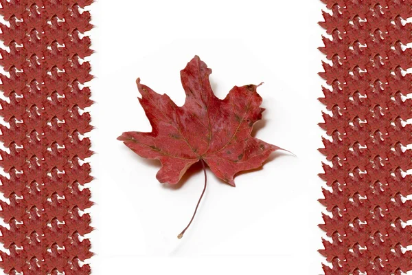 Canadian Flag — Stock Photo, Image