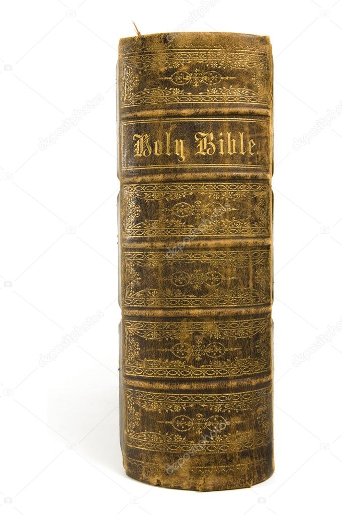 Antique Bible Spine