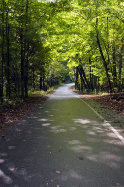 Parktaki ıslak yol.