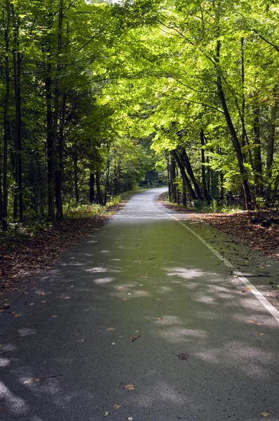 Våt väg i parken — Stockfoto