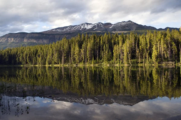 Sjön reflektion — Stockfoto