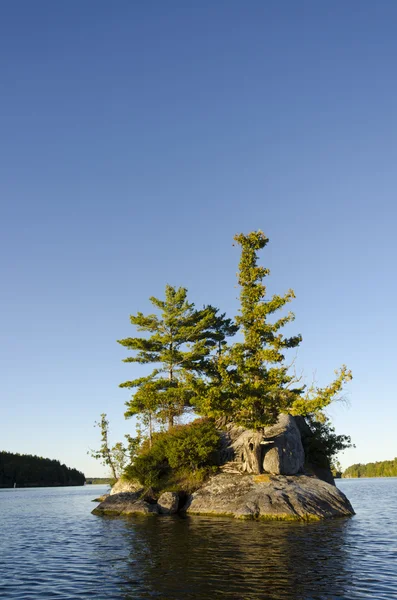 Isola su un lago del Nord — Foto Stock