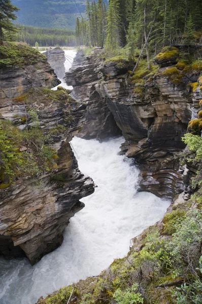 Athabasca pádu — Stock fotografie