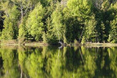 sabah ışık yansıması