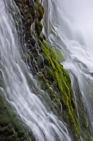 Trueno río Moss —  Fotos de Stock