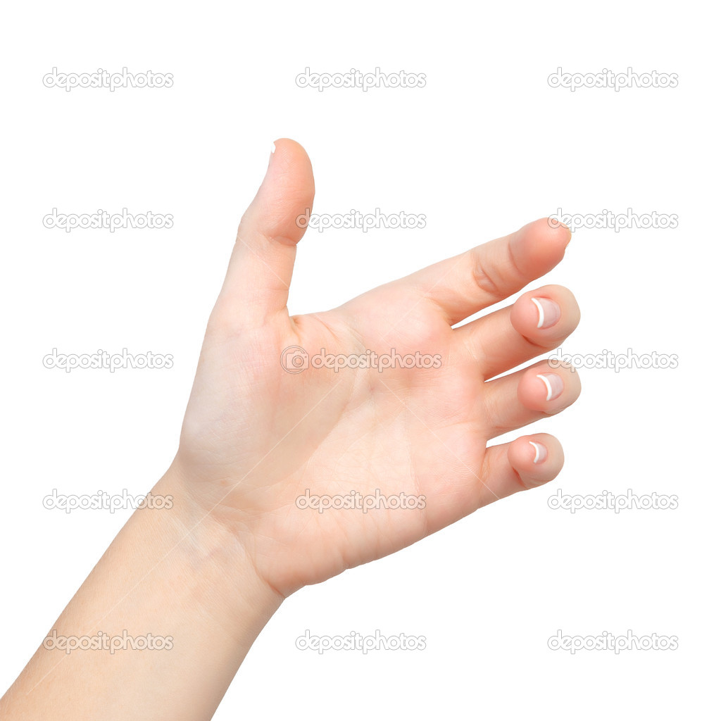 Isolated female hand palms held subject