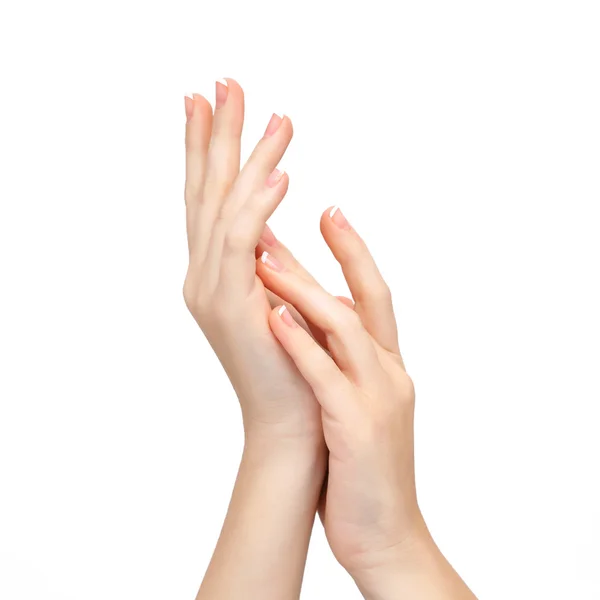 Female hand on the isolated background — Stock Photo, Image