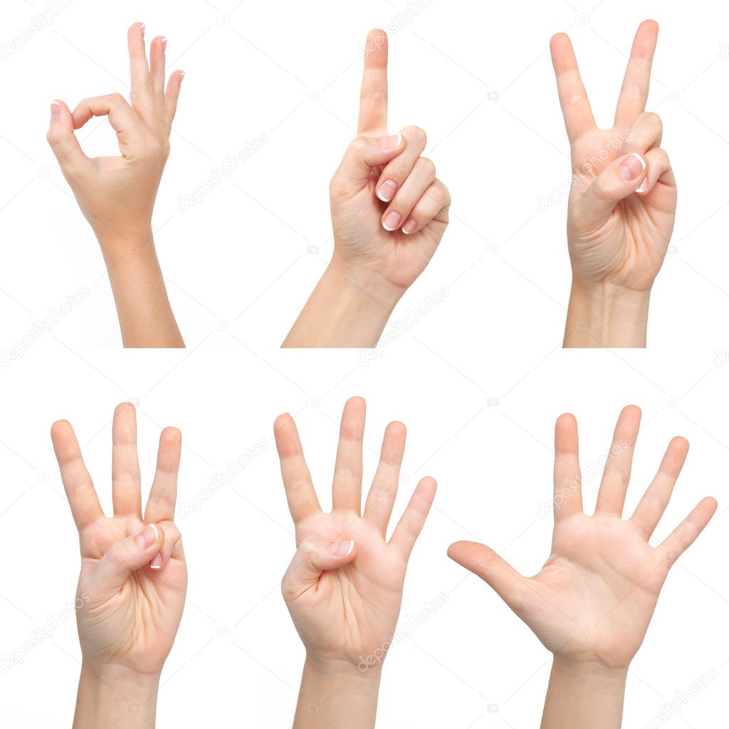 isolated woman hands show the number