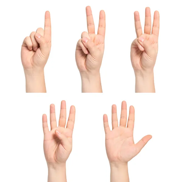 Vereinzelte Männerhände zeigen die Zahlen eins, zwei, drei, vier, fünf — Stockfoto
