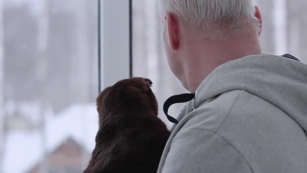 Un vieil homme et son chat regardent par la fenêtre — Video