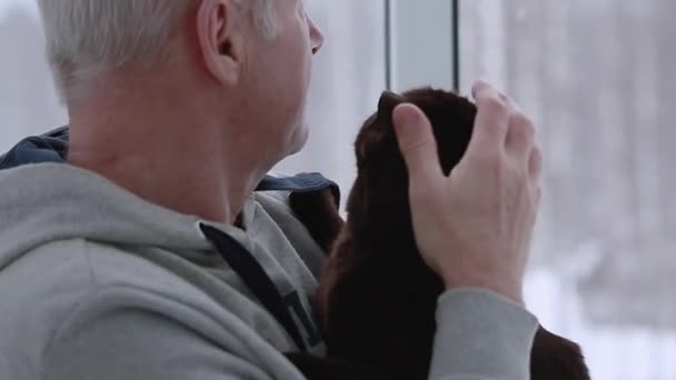 Пожилой человек и его кот смотрят в окно — стоковое видео