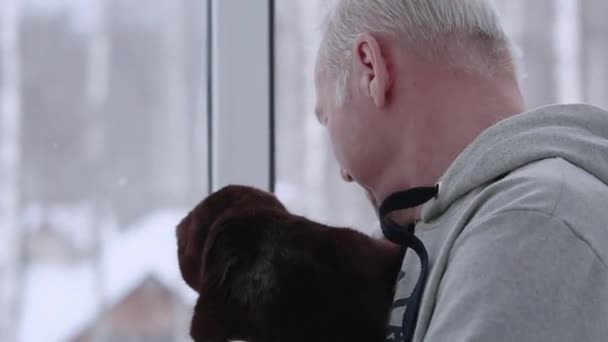 En ældre mand og hans kat kigger ud af vinduet – Stock-video