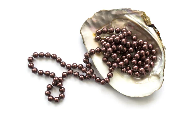 Perle in einer Muschel — Stockfoto