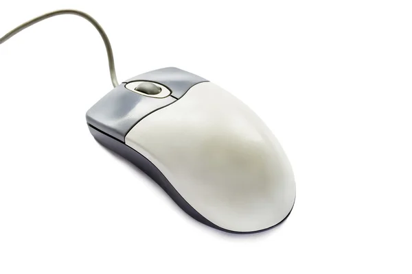 Gray pc mouse — Stock Photo, Image