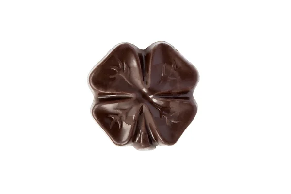 Chocolate clover — Stock Photo, Image