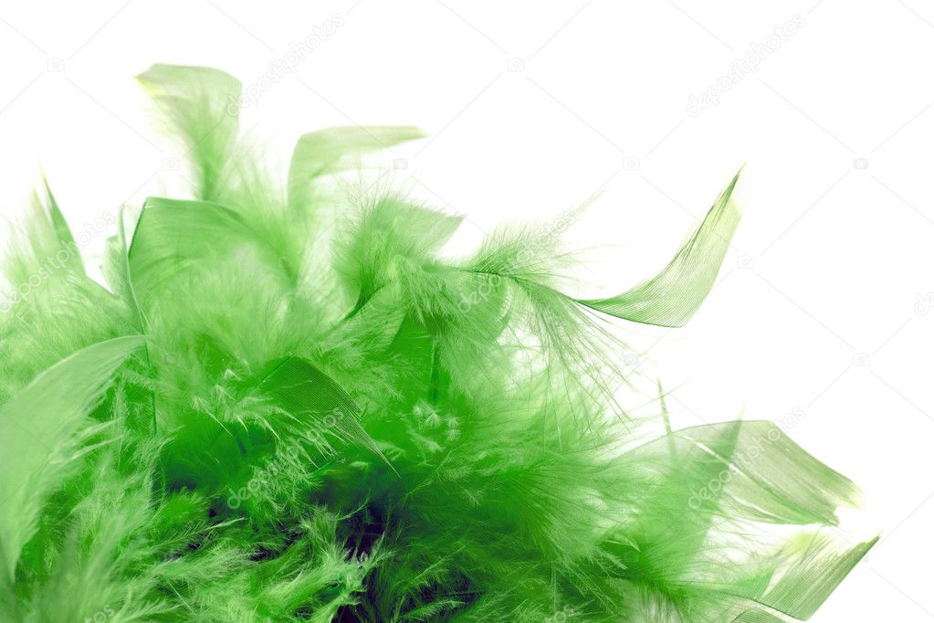 Green plumage