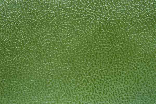 Zelená kůže — Stock fotografie