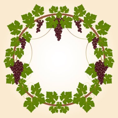 kırmızı üzüm şube çerçeve