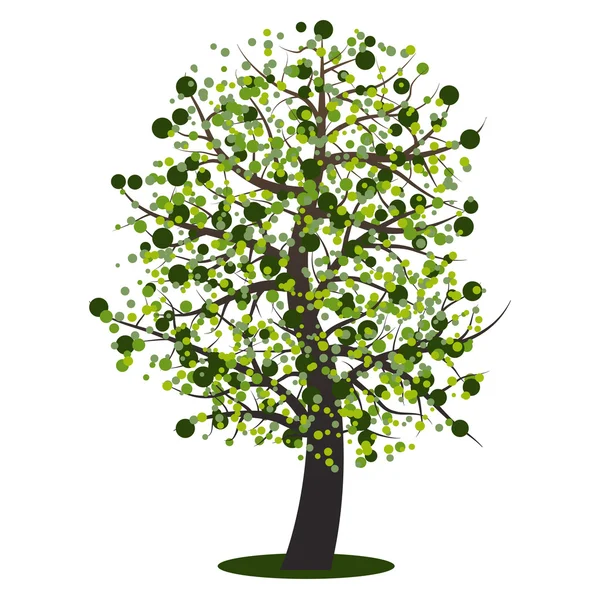 Letní Zelený strom — Stockový vektor