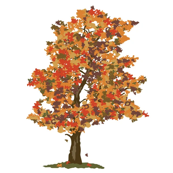 Árvore outono —  Vetores de Stock