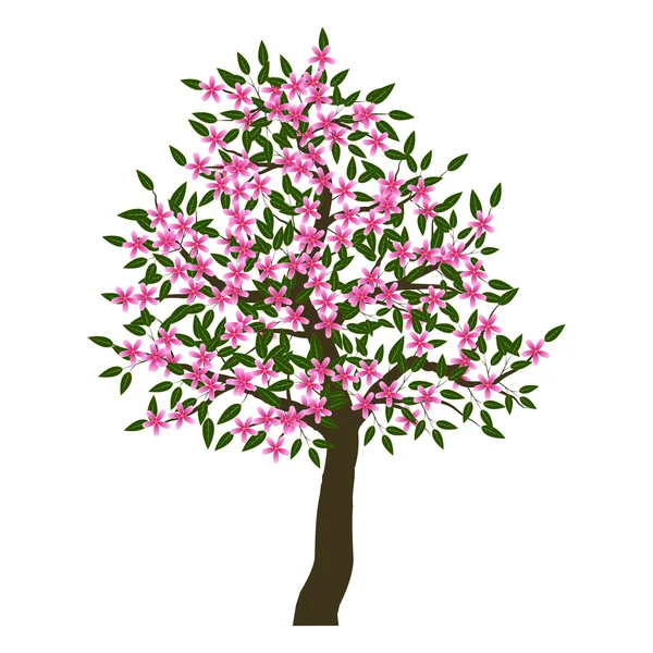 Árbol en flor — Vector de stock