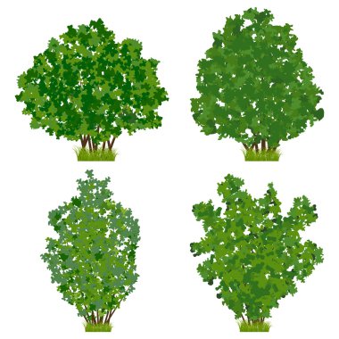 Green shrubs clipart
