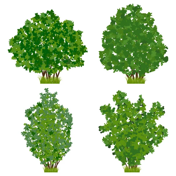 Green shrubs — Stock Vector