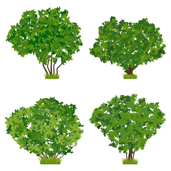 Arbustos verdes —  Vetores de Stock