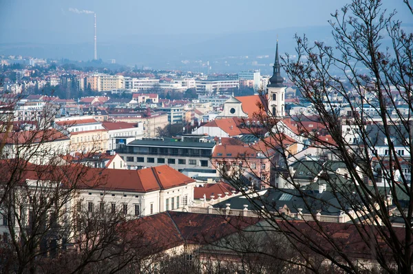 Brno, Şehir Manzaralı — Stok fotoğraf
