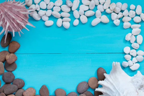 Sommerkonzept Muscheln Und Kiesel Auf Holzgrund Draufsicht Mit Kopierraum — Stockfoto