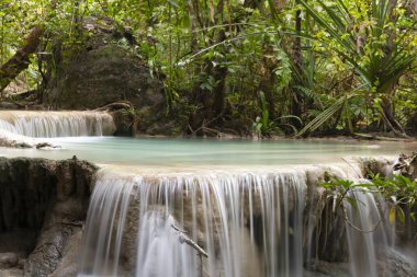 Güzel şelale manzarası. Ormanda Şelale