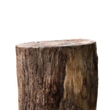 wooden log or wooden timber isolated on white background.