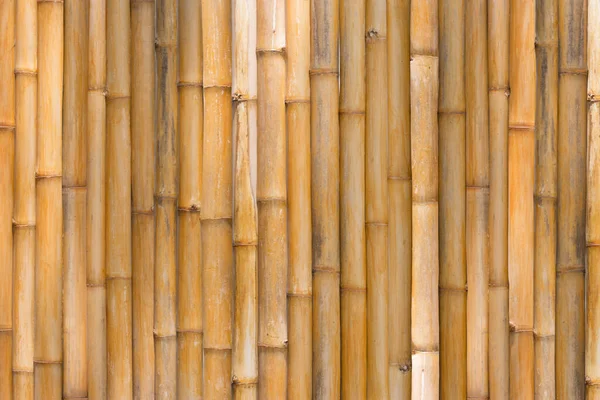 bamboo texture, bamboo fence background or bamboo wall background.