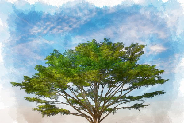 Acuarela Árbol Con Cielo Azul — Foto de Stock