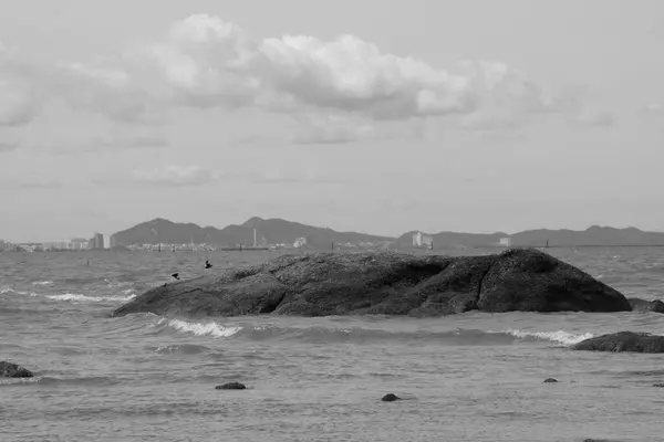 Piedras Junto Mar Tono Blanco Negro —  Fotos de Stock