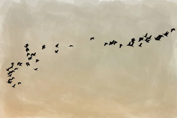 Acuarela Muchas Aves Volando — Foto de Stock