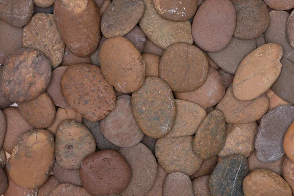 Piedras Grava Primer Plano Para Suelo Decorativo — Foto de Stock
