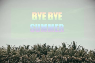 - Güle güle. - Güle güle. Hindistan cevizi ağaçlarının metni 