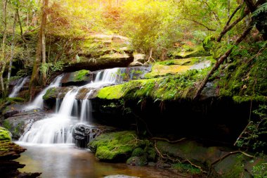 Güzel şelale manzarası. Ormandaki Şelale Loei bölgesindeki Pukradung Ulusal Parkı 'nda Asya' nın güneydoğu Tayland 'da seçici bir odak noktası..