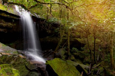 Güzel şelale manzarası. Ormandaki Şelale Loei bölgesindeki Pukradung Ulusal Parkı 'nda Asya' nın güneydoğu Tayland 'da seçici bir odak noktası..